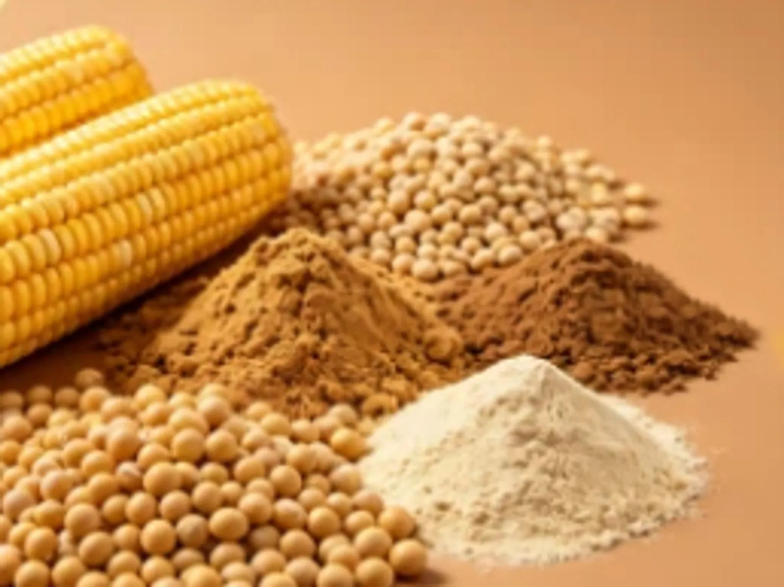 Feed Additives